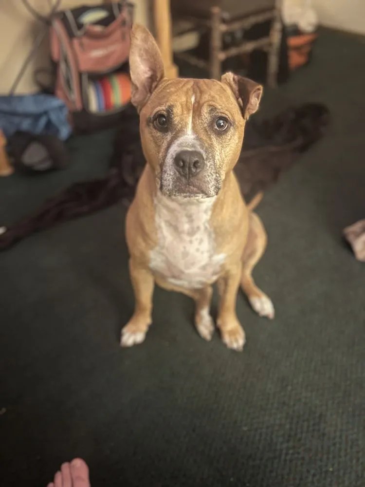 Slide of RRR Roofing