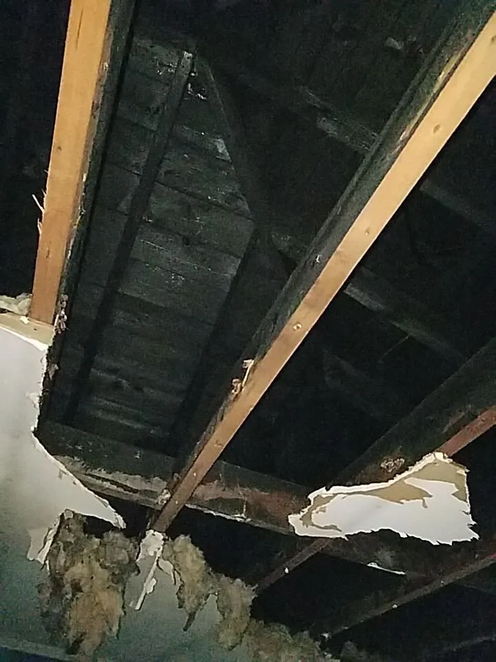 Slide of RS1 Water & Fire Damage Restoration