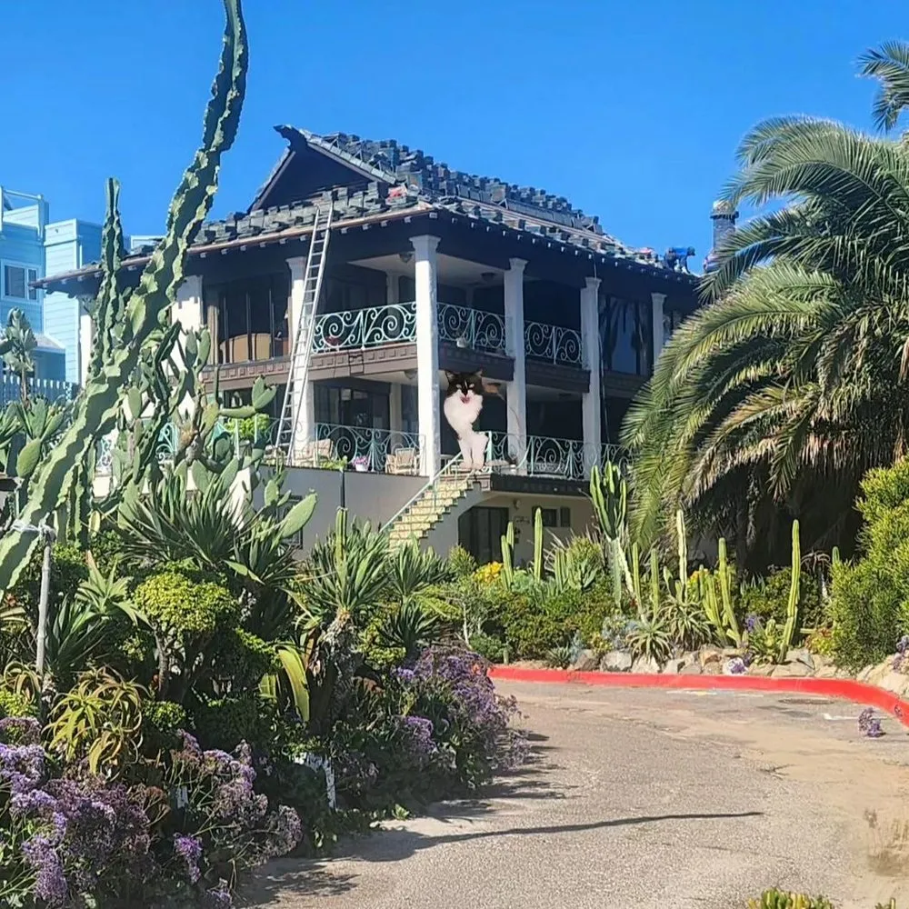 Slide of RT Roofing Specialist