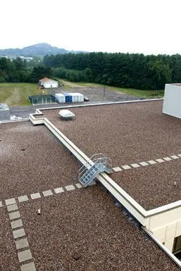 Slide of RTS Roofing