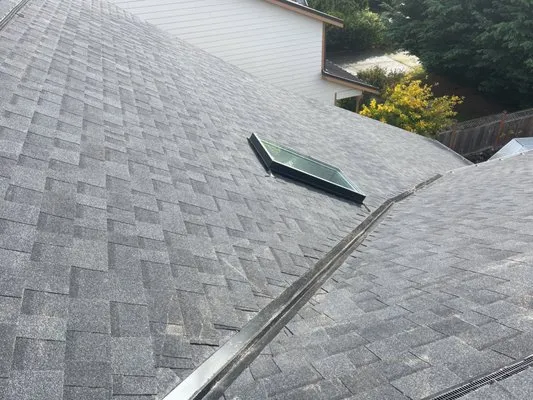 RUBIO INNOVATIONS Logo