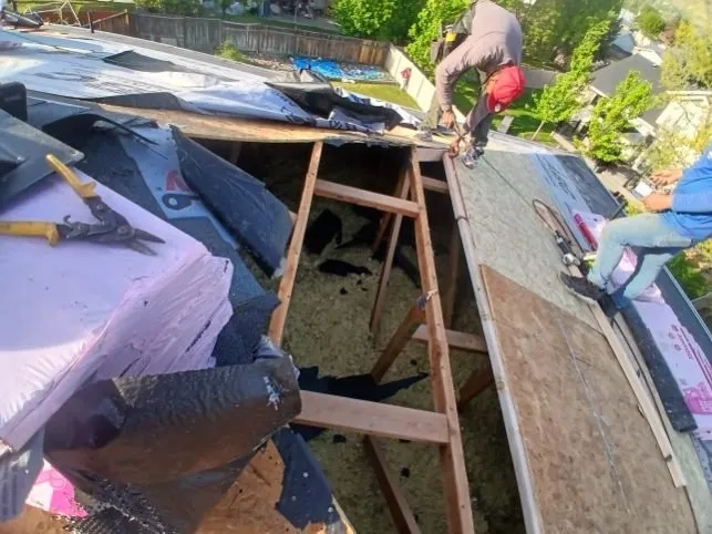 Slide of Ruiz Roofing Design