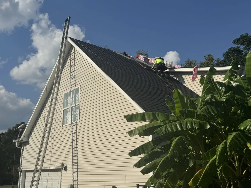 Slide of Rumble Bee Roofing