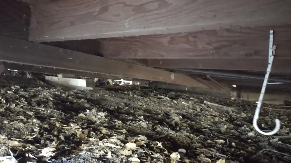 Slide of Russian River Handyman