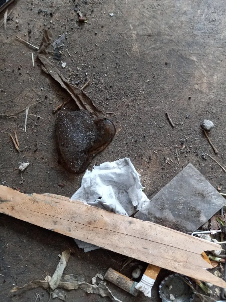 Slide of Rusty Nails