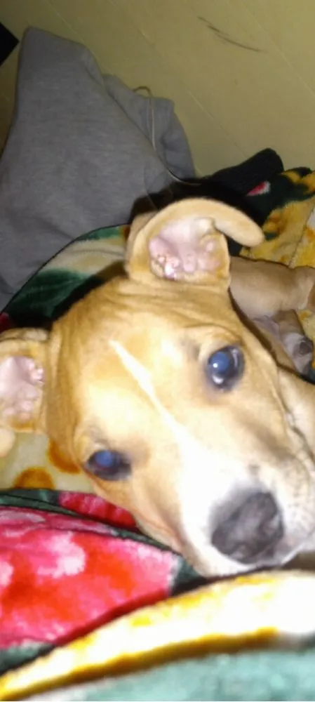 Slide of Rusty Nails