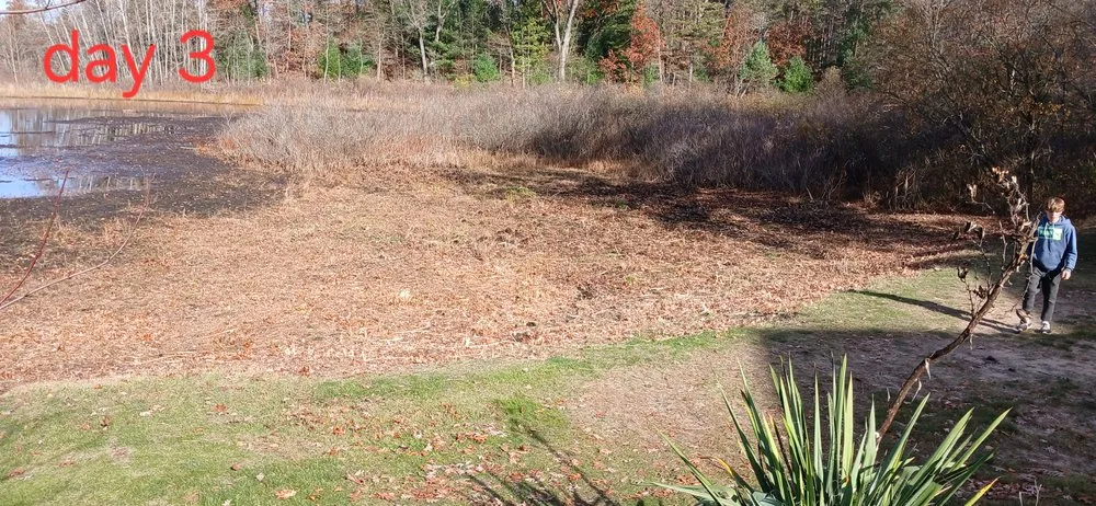 Slide of Ruthless Roofing Demo And Cleanouts