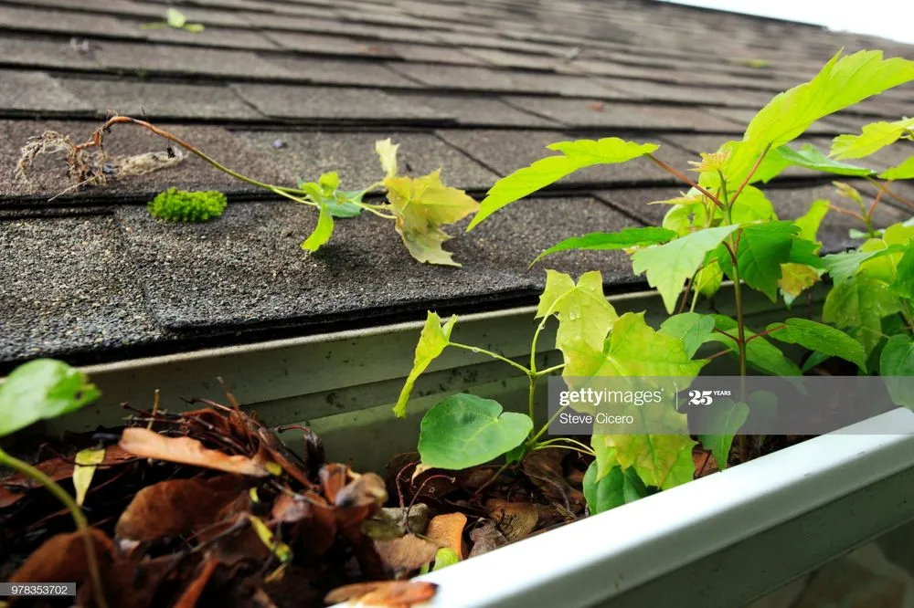 Slide of RVA Gutter Pros & Exterior Services