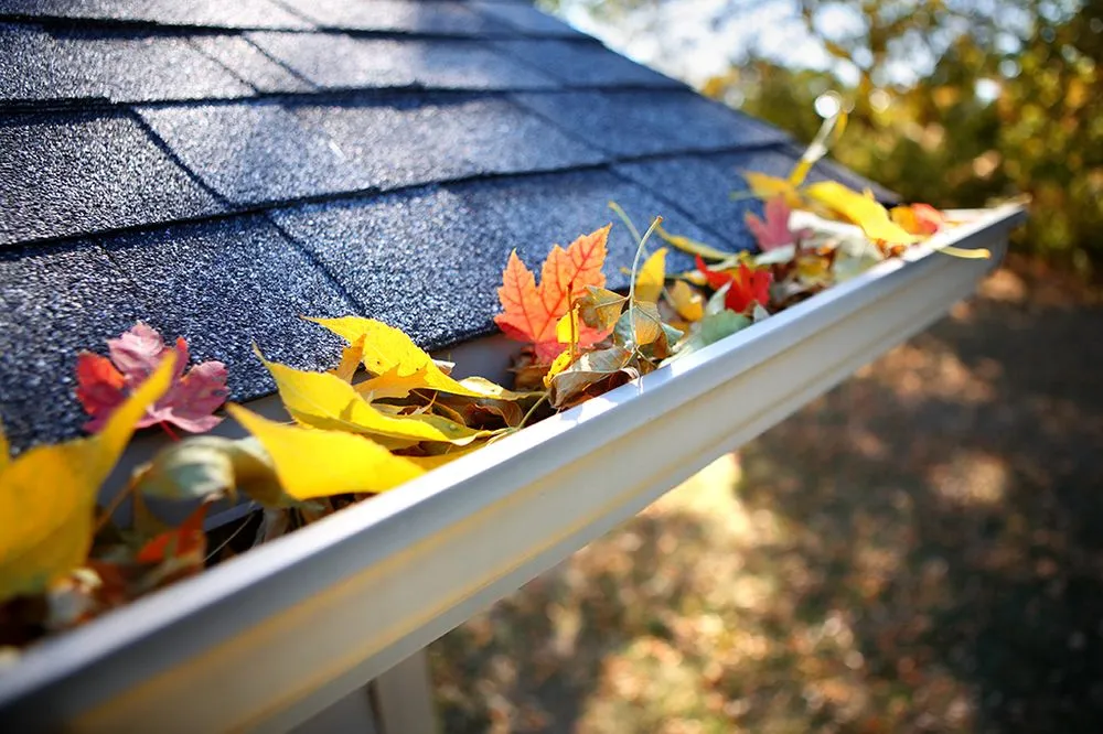 Slide of RVA Gutter Pros & Exterior Services
