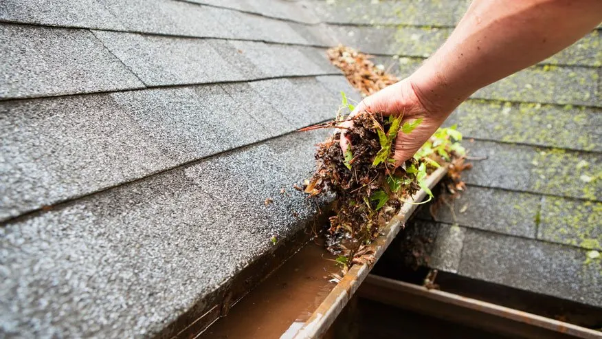Slide of RVA Gutter Pros & Exterior Services
