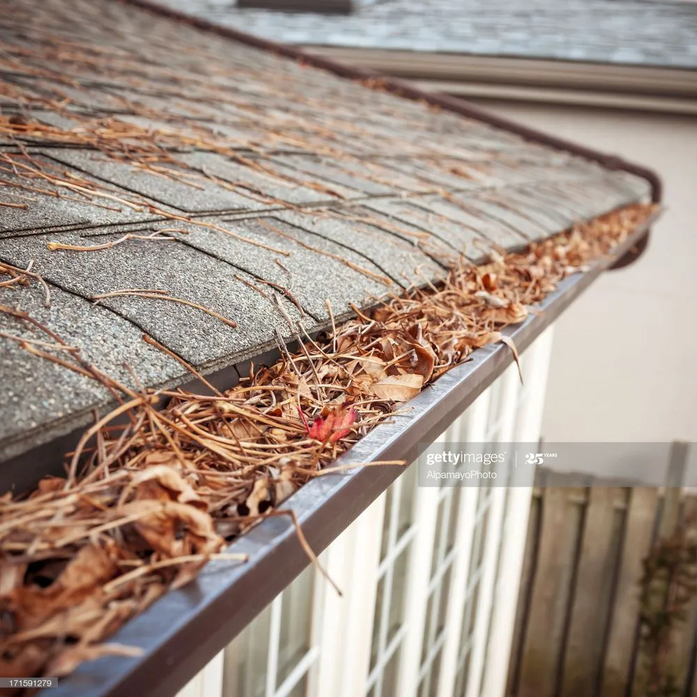 Slide of RVA Gutter Pros & Exterior Services