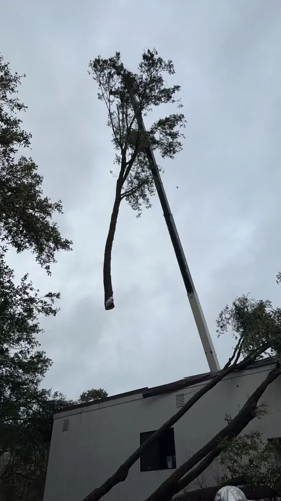 Local roof replacement same-day service across O'Neals, CA - RW General Construction