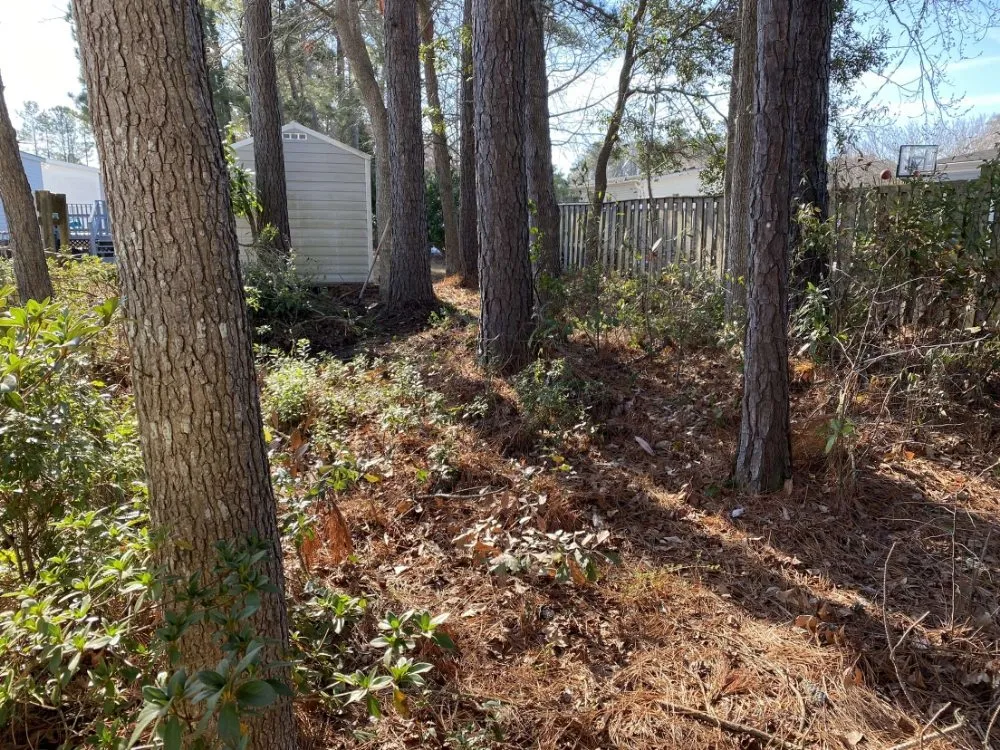 Slide of Ryan's Handyman Service