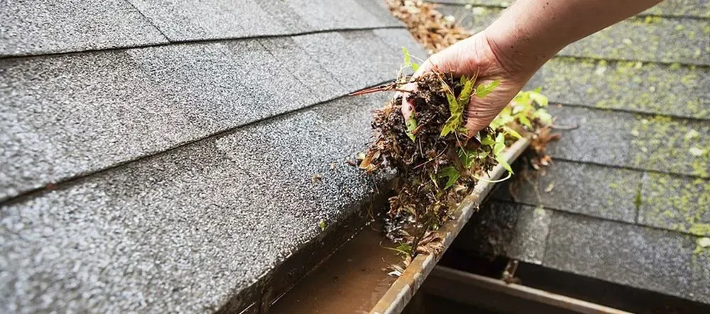 Slide of Ryno Gutters and Waterproofing