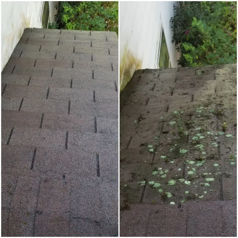Trusted roof replacement in St. Marys, GA by Ryno Roof Restoration