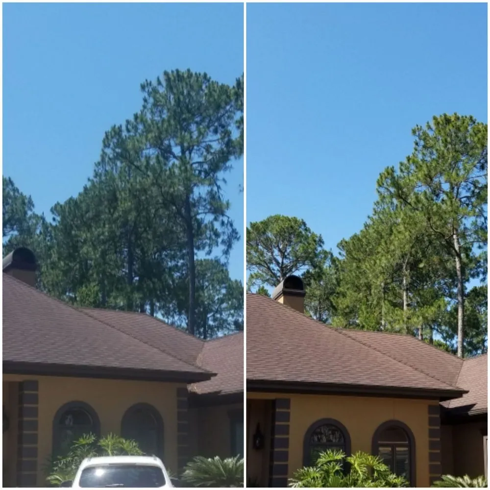 Expert roof inspection for residential properties in St. Marys, GA by Ryno Roof Restoration