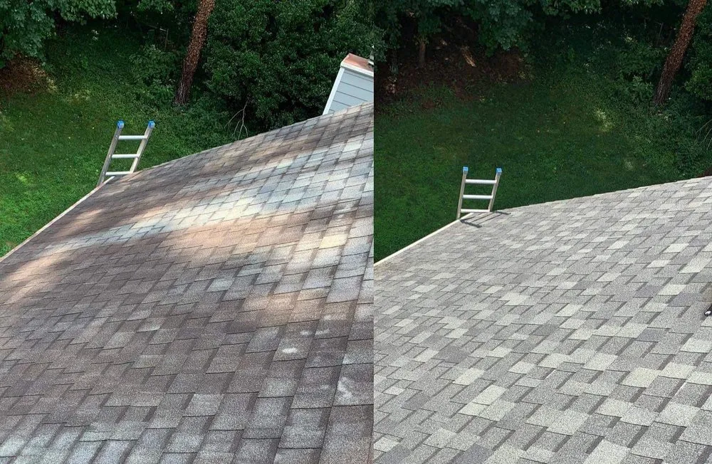 Licensed shingle roofing service in St. Marys, GA - Ryno Roof Restoration