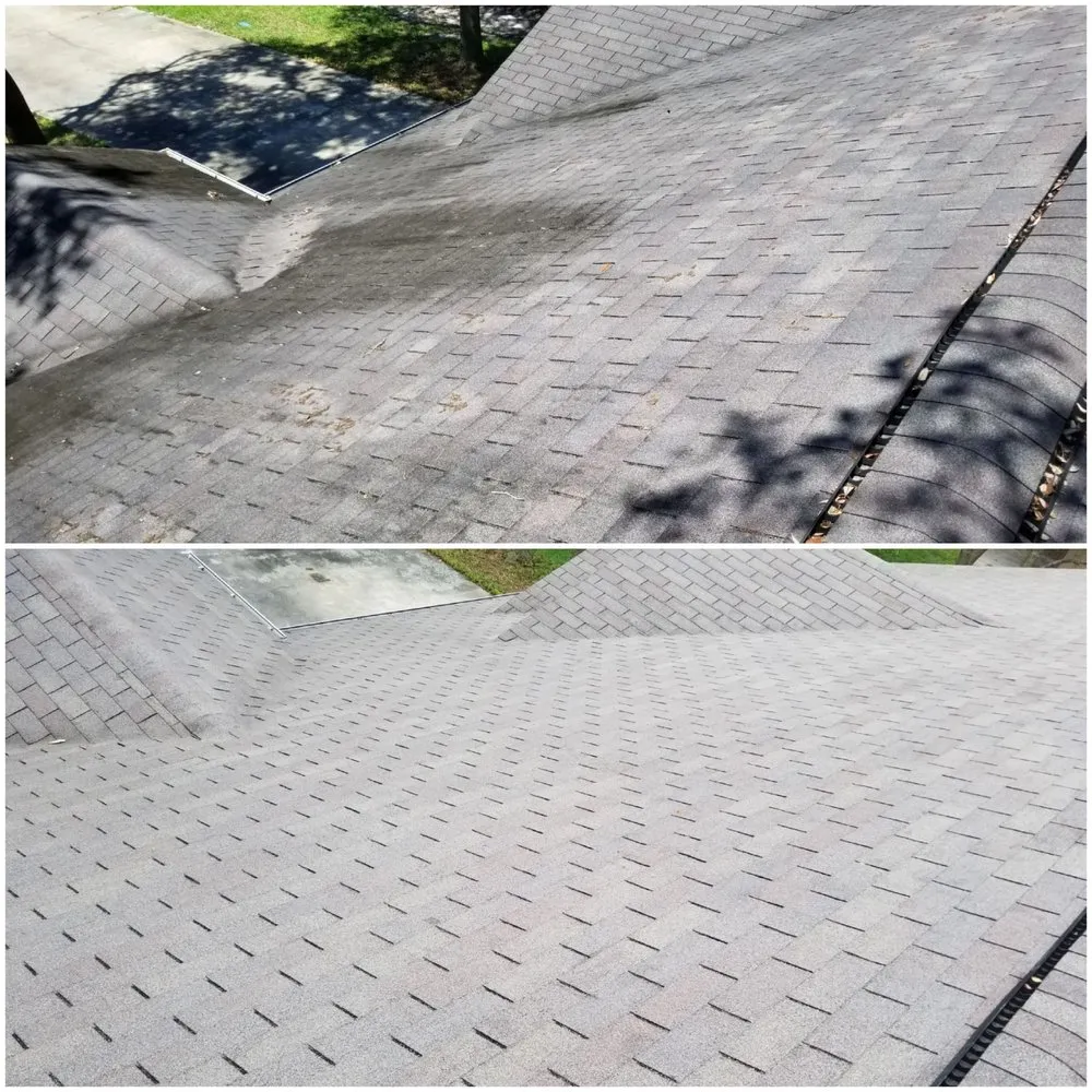 Local residential roofing service experts serving St. Marys, GA - Ryno Roof Restoration