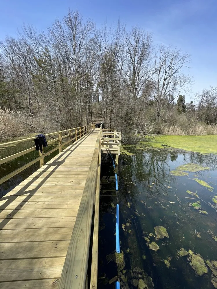 Slide of S & D Design For Life