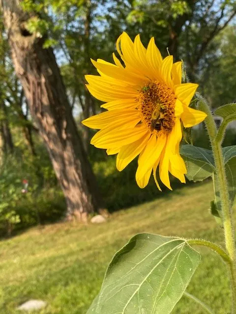 Slide of S & S Repair and Restoration