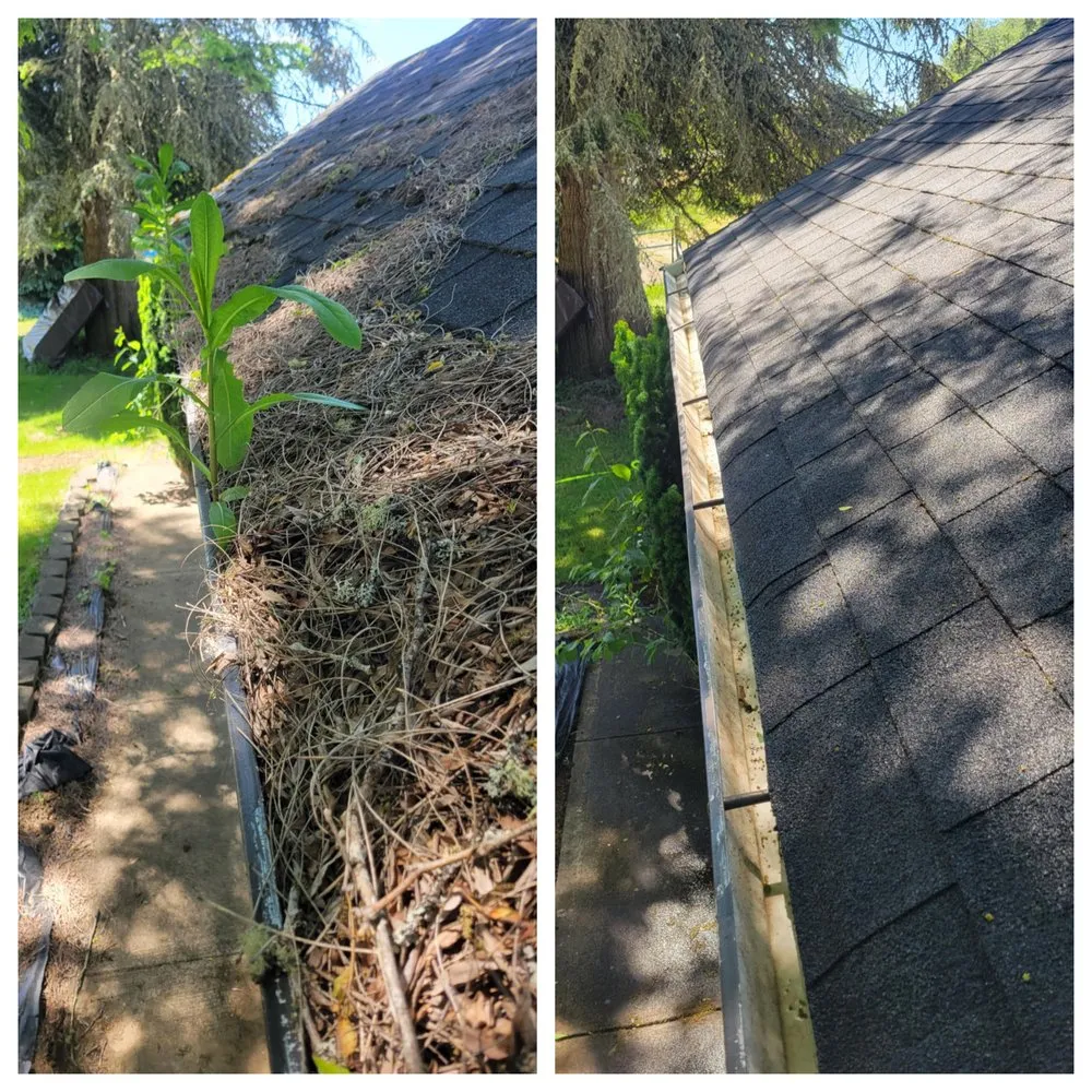 Slide of S & S Wash Pros