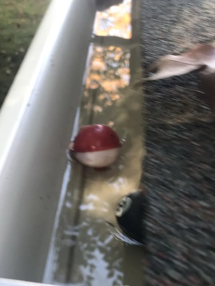 Slide of S & W Roofing