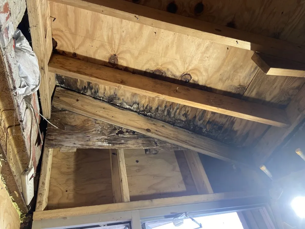 Slide of S Alex Solutions