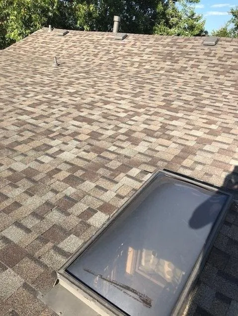 Slide of S F Diversified Services