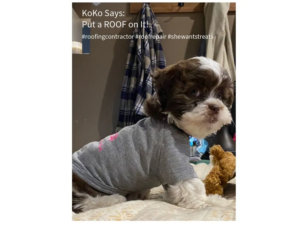 Slide of S Graves Construction And Roofing