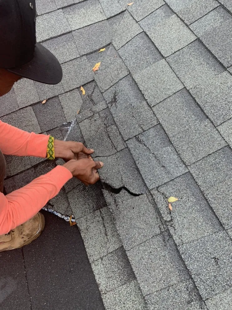 Slide of S Stergo & Sons