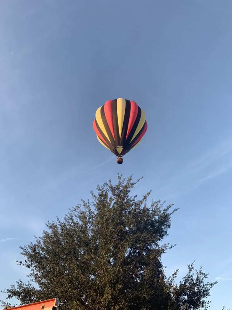 Slide of S Stergo & Sons