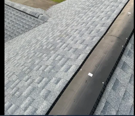 Slide of SA Restoration