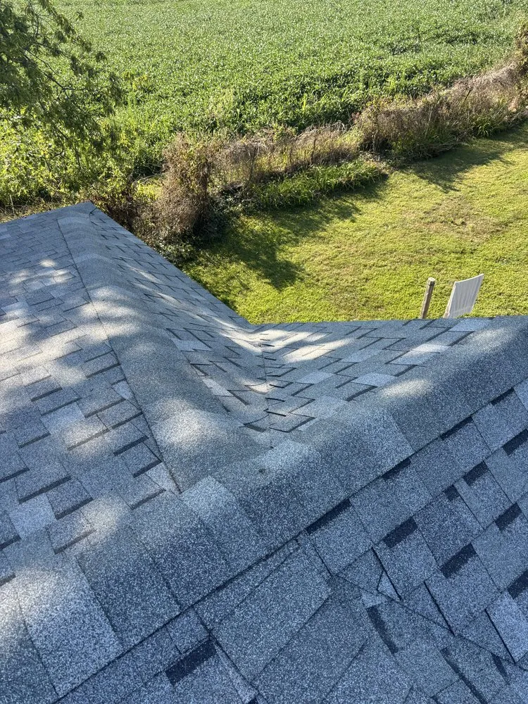 Slide of Sadie Mae’s Roof & Woof