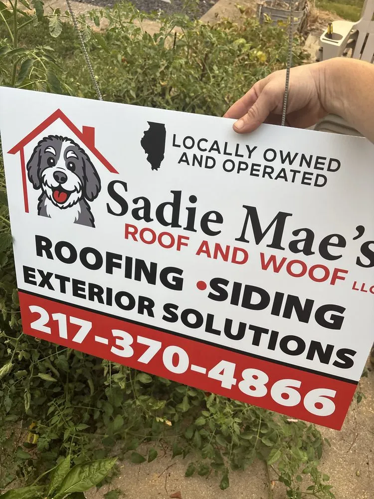 Slide of Sadie Mae’s Roof & Woof
