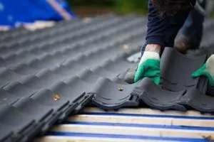 Safari Roofing and Remodeling Logo