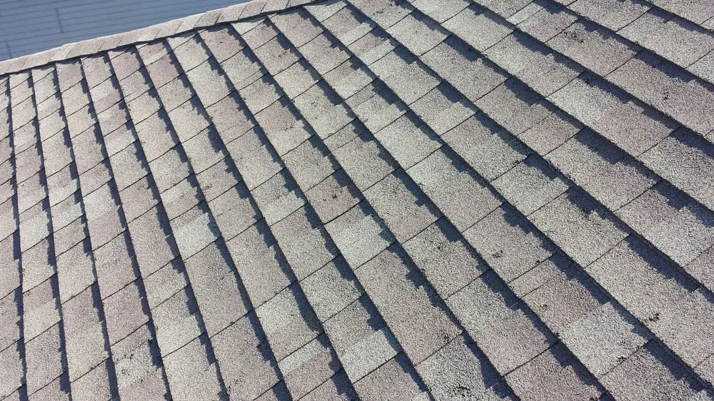 Slide of Safe House Exteriors