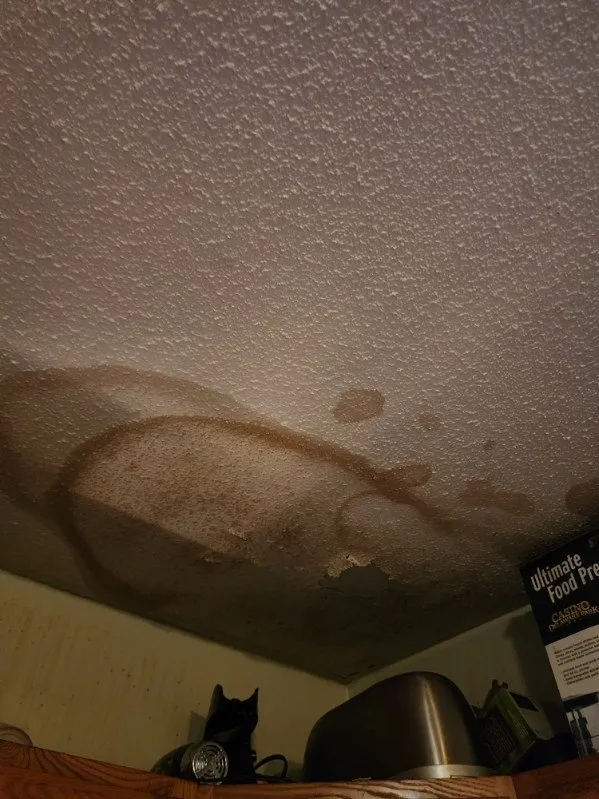 Slide of Safe Roofing