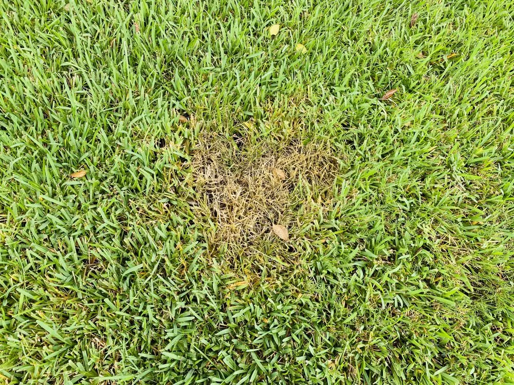 Slide of Safe Touch Pressure Washing & Painting