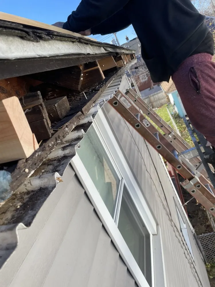 Slide of Safee construction