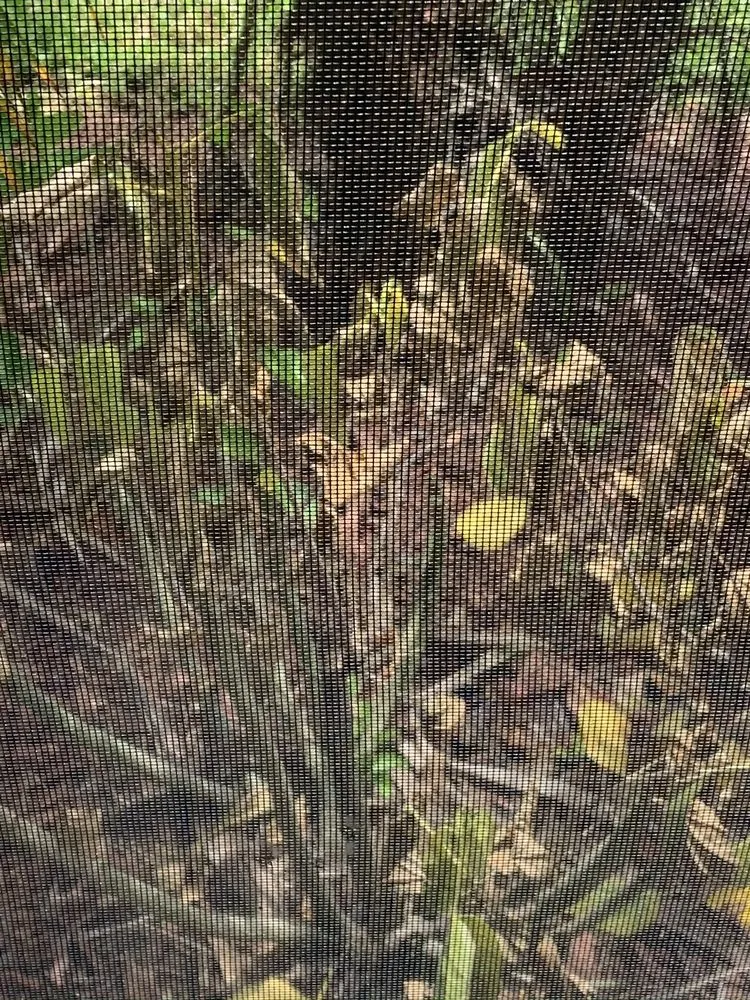 Slide of Sailfish Softwash