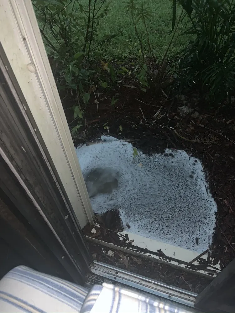 Slide of Sailfish Softwash