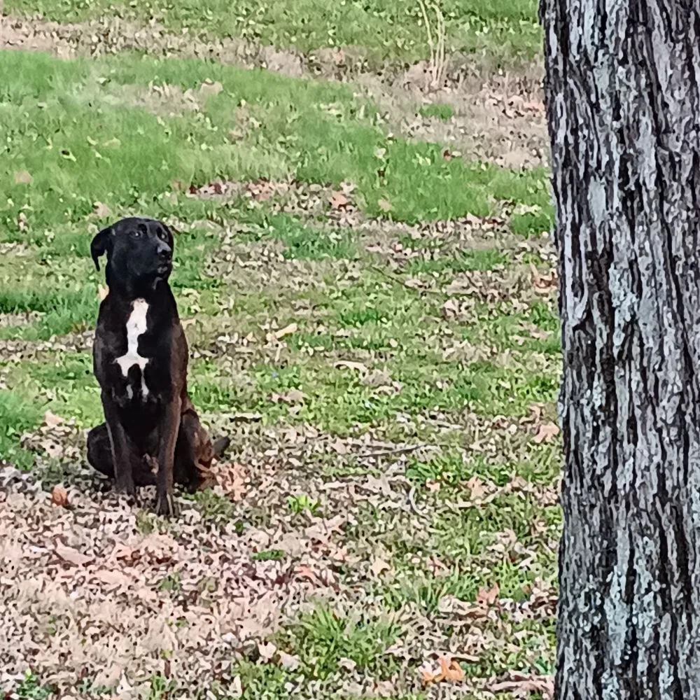 Slide of Sales Construction