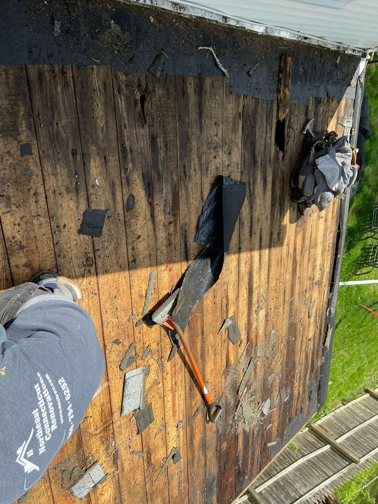 Slide of Salfa House