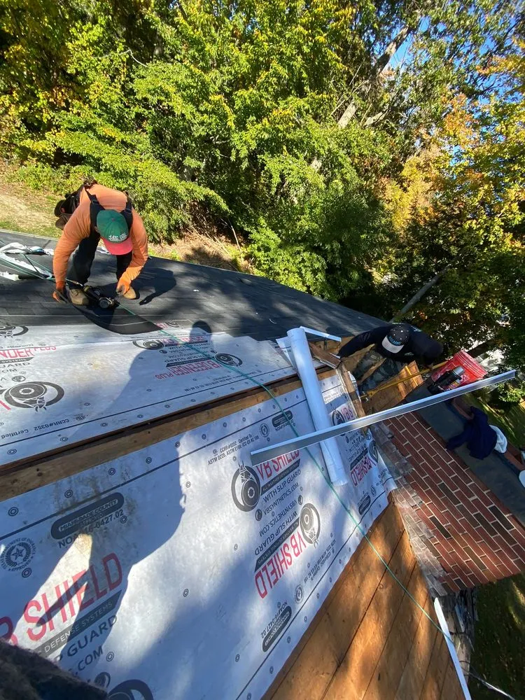 Slide of Salfa House