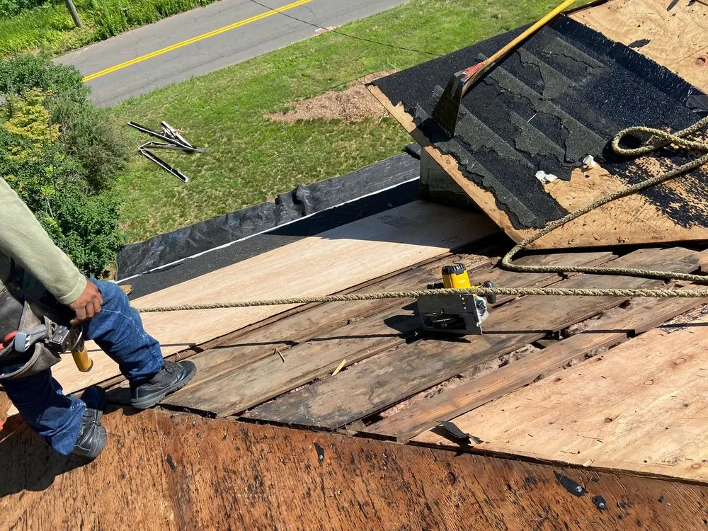 Slide of Salfa House