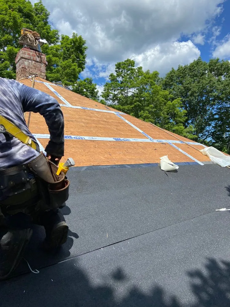 Slide of Salfa House