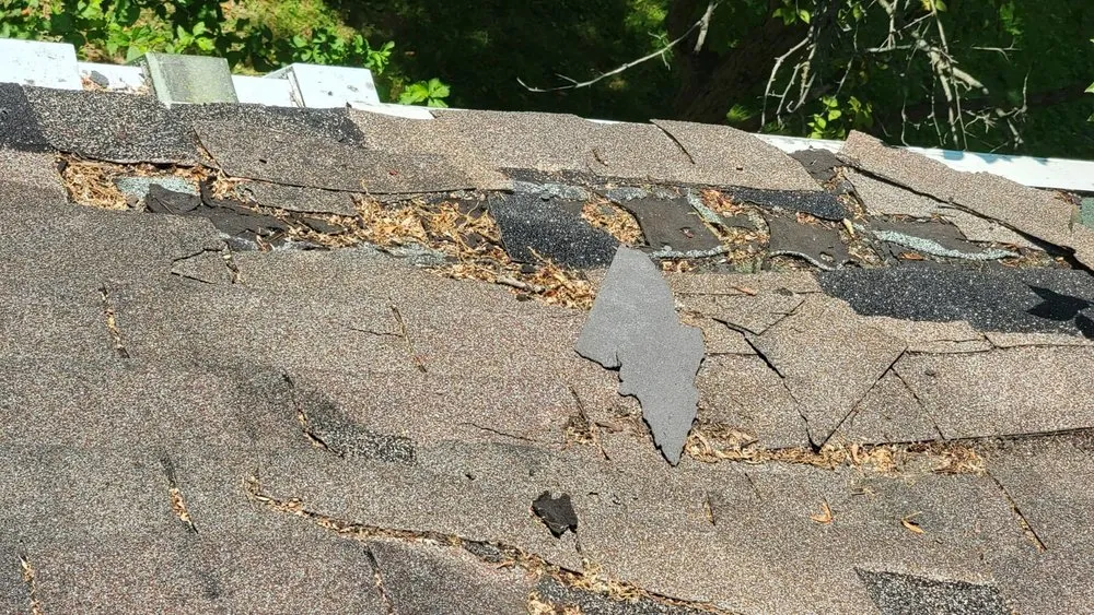 Slide of Salgau Roofing