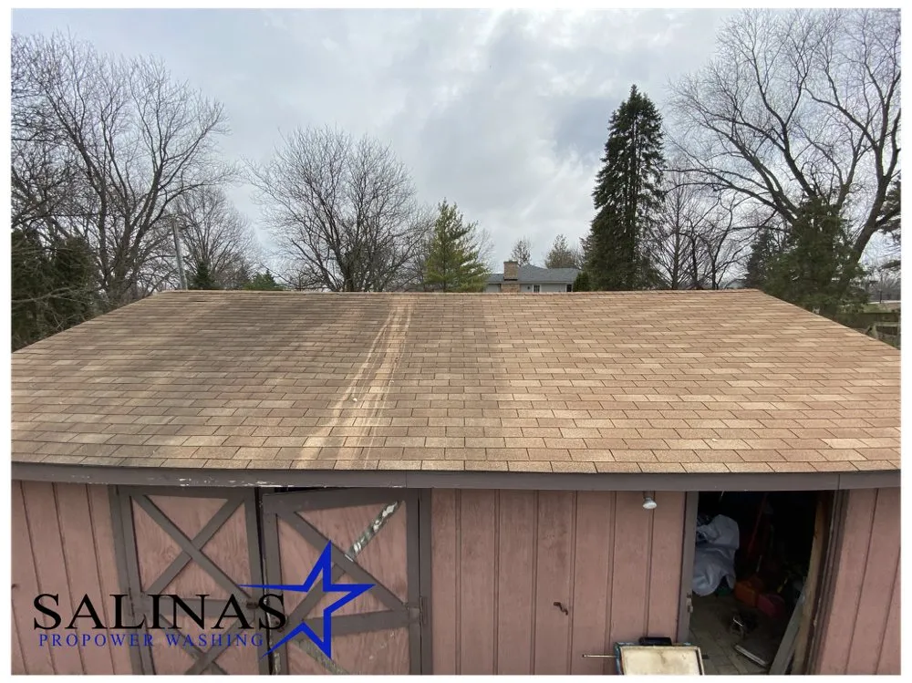 Slide of Salinas ProPower Washing