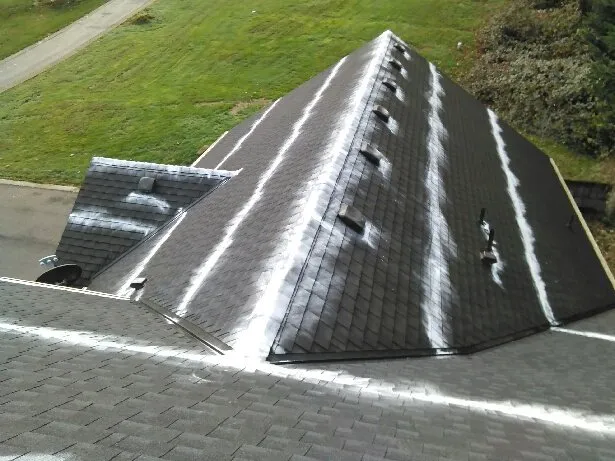 Slide of Salmon Bay Window Cleaning