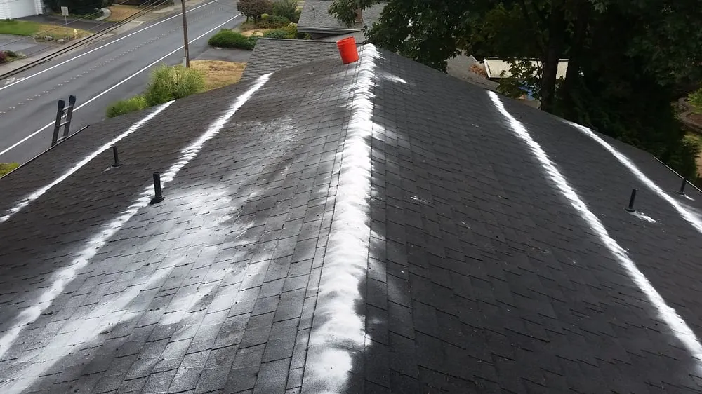 Slide of Salmon Bay Window Cleaning